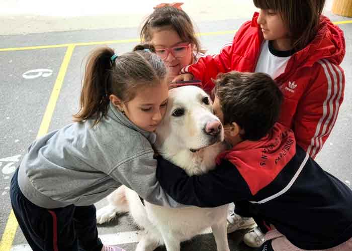Terapia asistida con animales