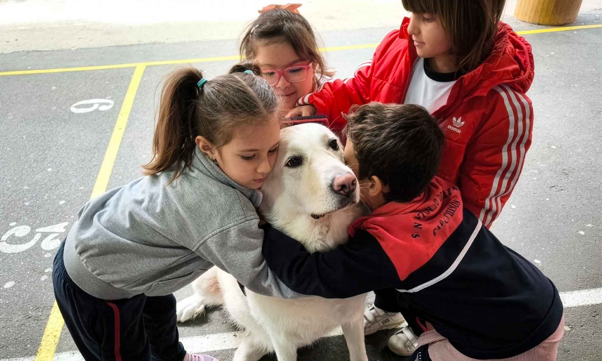 Terapia asistida con animales